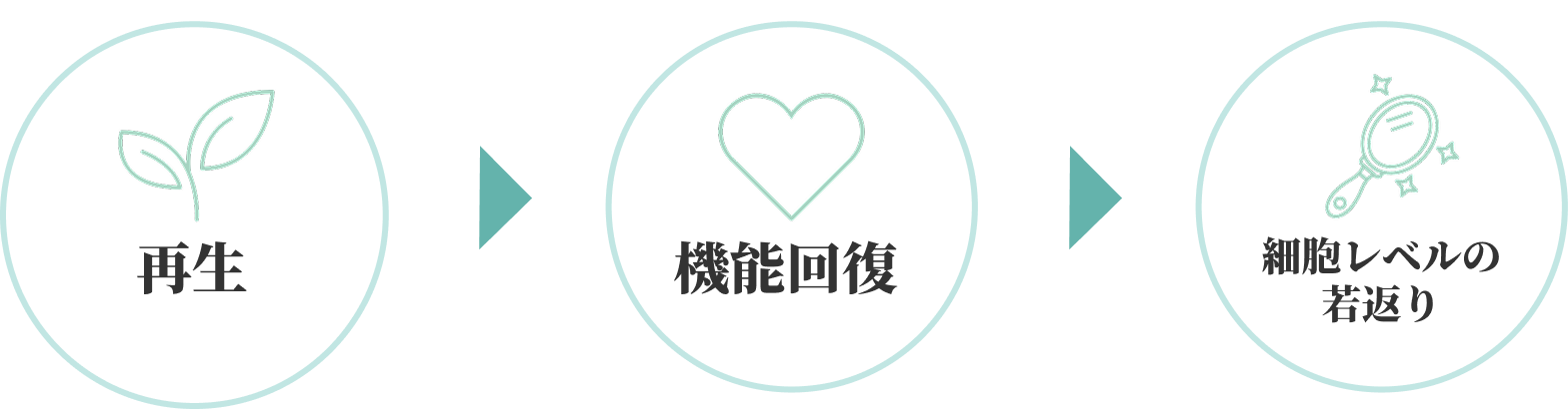 再生・機能回復・印象改善